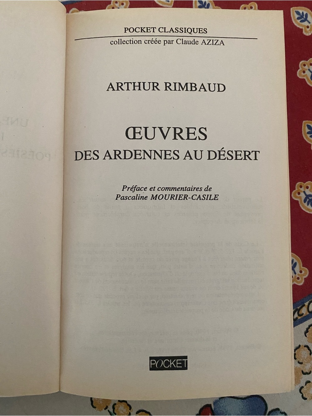 Arthur Rimbaud - 2 French Language Paperbacks - Picture 12 of 16
